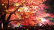 Vivaldi: The Four Seasons - Autumn (Wichita State University Chamber Players, Harrison)