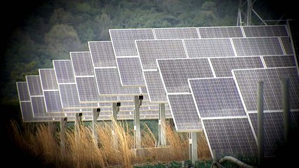 [현장24] 태양광 난개발에 멍드는 농촌 마을 / YTN