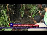 BKSDA Tangkap Harimau Sumatera -NET5