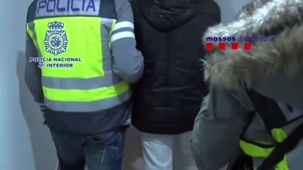 Desarticulada una organización que suplantaba identidades en exámenes de carné de conducir