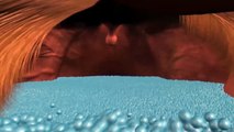 Crea una superficie de agua usando partículas | Pixar in a box | Khan Academy en Español