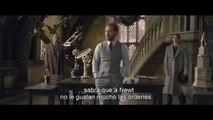 Animales Fantásticos 2- Los Crímenes De Grindelwald - Trailer Subtitulado Español Latino