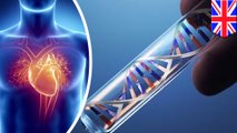 Genes behind fatal heart condition identified by scientists