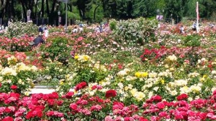 Two Guests CNN Will NEVER Want on Again!