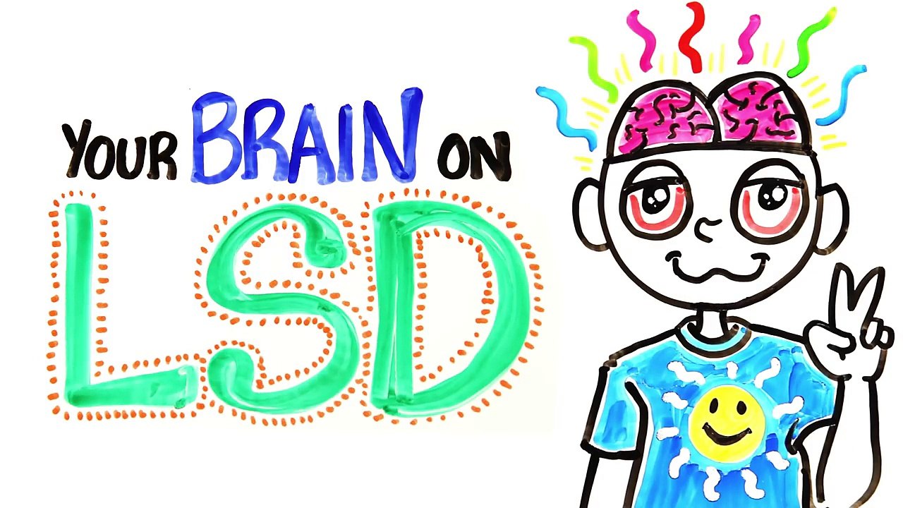 Your Brain on LSD and Acid