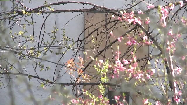 Brothers Arrested for Child Exploitation, Neglect After Police Make Disturbing Discoveries in Their Home