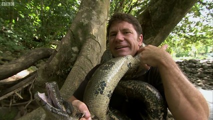 Strangled by a Boa Constrictor  Deadly 60 Series 2 BBC