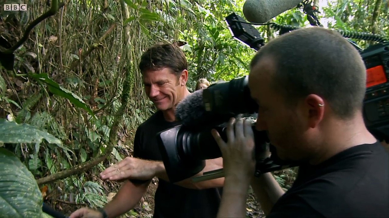 World's Biggest Ant! Bullet Ant Deadly 60 Series 2 BBC