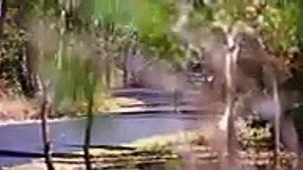 Home and Away 6862 18th April 2018 Australia Plus TV