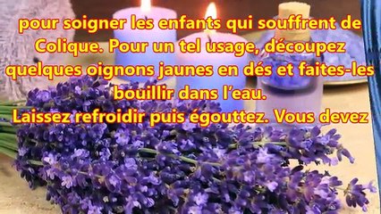 Les meilleurs usages thérapeutiques de l'oignon