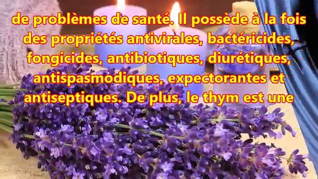 Meilleure façon d'utiliser le thym pour bénéficier de tous ses avantages