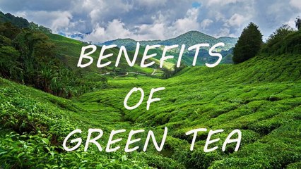 Health Benefits of Green Tea