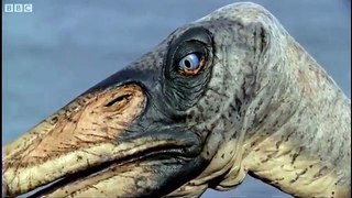Reptiles of the Skies Walking with Dinosaurs in HQ BBC