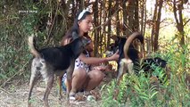 Lovely amazing girl playing with groups of baby cute dog - funny cute dog part 17
