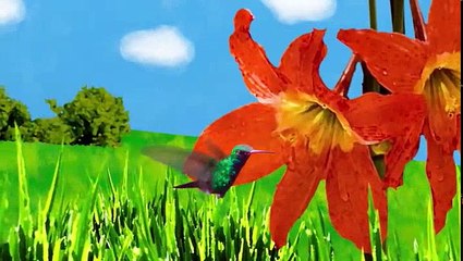 The Secret Life Of The American Teenager S05 E03 I Do And I Don T