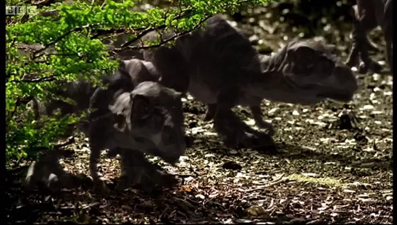 T-Rex  Attack of the Dinosaur  Walking with Dinosaurs in HQ  BBC