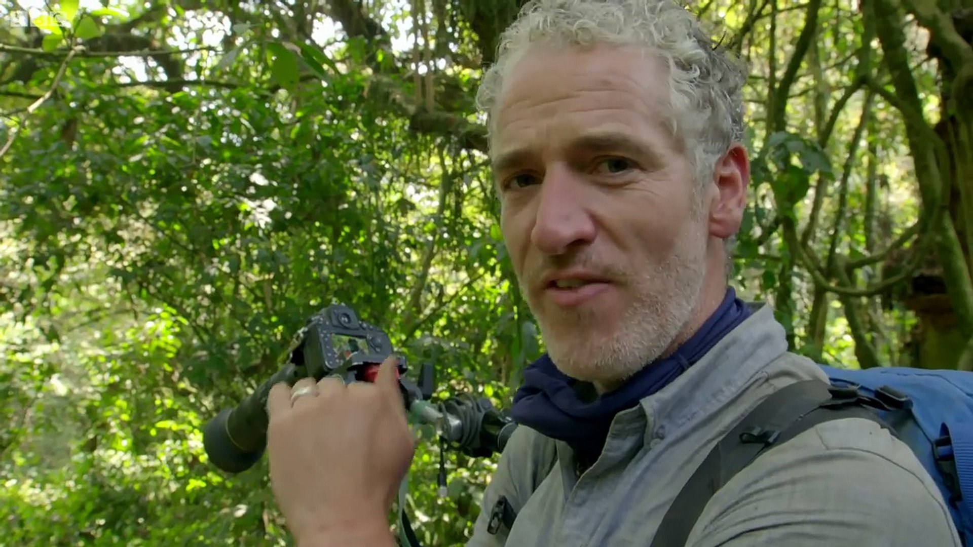 ⁣Mirror Mirro Gorillas React To Their Reflection  Gorilla Family and Me BBC
