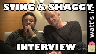 Sting & Shaggy : Don't Make Me Wait Interview Exclu