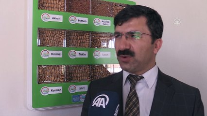 'Yeşil altın' çiçek açtı - GAZİANTEP