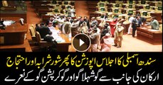 Sindh Assembly echoed with the slogans of 'Go Shehla Go'