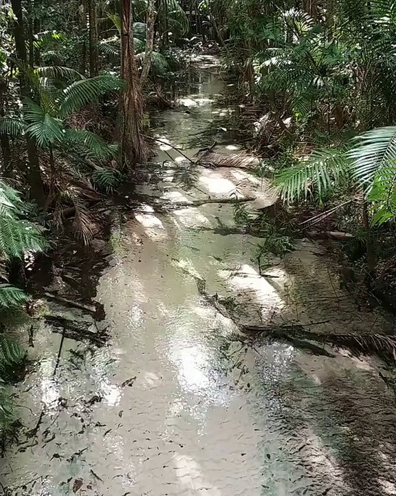 Fraser Island Australia | Fraser Island Tourism | Fraser Island Tours