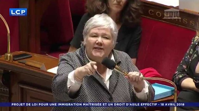 À l'Assemblée, la nuit de débats mouvementés sur la loi asile et immigration