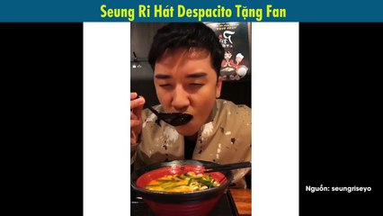 Seung Ri Không Vui Khi Bị Fan Gọi Là Fat Panda