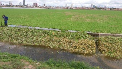 Poluição fez sumir o espelho d'água da Lagoa Grande