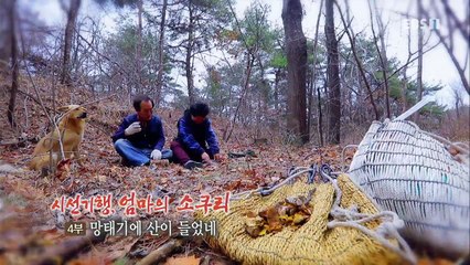 한국기행 - Korea travel_시선기행-엄마의 소쿠리 4부 망태기에 산이 들었네_#001