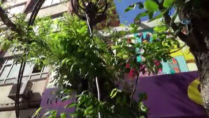 Ağaca Çekilen Üçlü Priz Riski Oluşturuyor