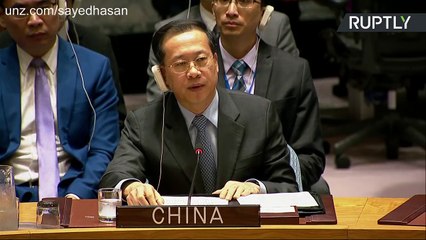 China at the UNSC after US-led strikes against Syria: 'Use of Force in International Relations is Unacceptable'