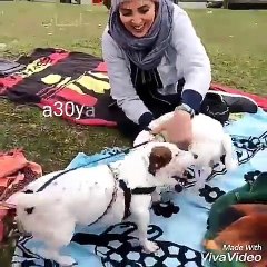 13 بدر لیلا بلوکات با توله سگ هاش در خارج ایران