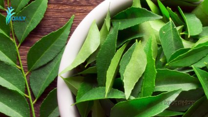 खुजली का देसी घरेलु इलाज – दाद, खाज Treatment in Hindi   Daily Health Care