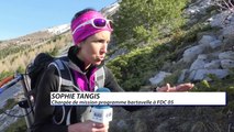 Hautes-Alpes : la perdrix bartavelle sous haute observation