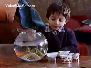 Maurice, le poisson qui pousse le bouchon un peu trop loin!