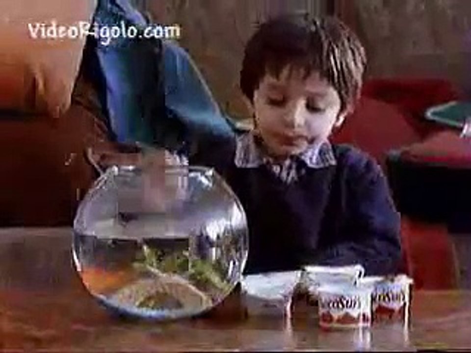 Maurice, le poisson qui pousse le bouchon un peu trop loin!