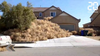 Une ville entière se fait envahir - Le Rewind du Jeudi 19 Avril 2018