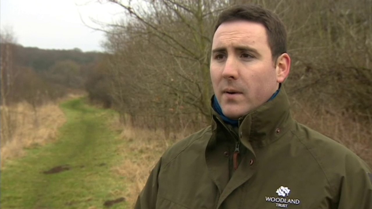 BBC1_Look North (East Yorkshire & Lincolnshire) 10Apr18 - woodland project on the outskirts of Grantham