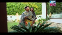 Mein Mehru Hoon Ep 106 & 107 - on ARY Zindagi in High Quality 19th April 2018