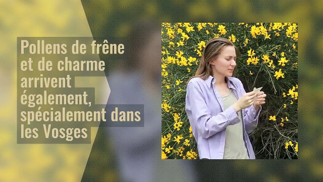 Allergiques, nos conseils pour faire face aux pollens