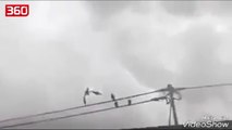 Dalin pamjet sekrete/ Ushtria amerikane vret një krijesë misterioze e cila po fluturonte në qiell (360video)