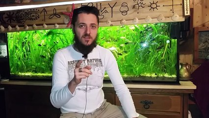 Naturalne metody farbowania pisanek jajek