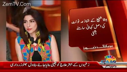 Real Story of Meesha Shafi Tweets about Ali Zafar