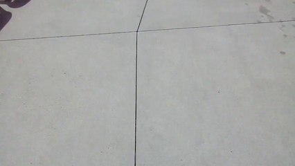 Delgrosso's Amusement Park Water Park Side