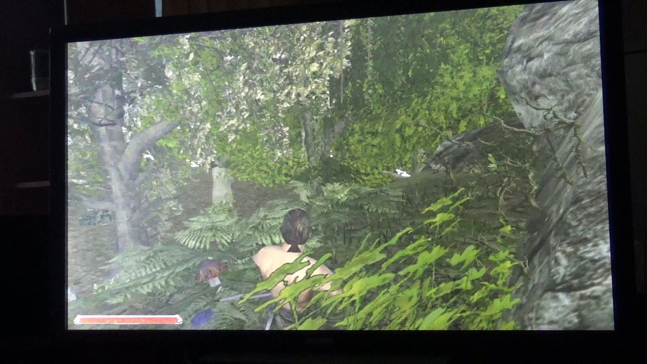 Monster werden nicht angezeigt