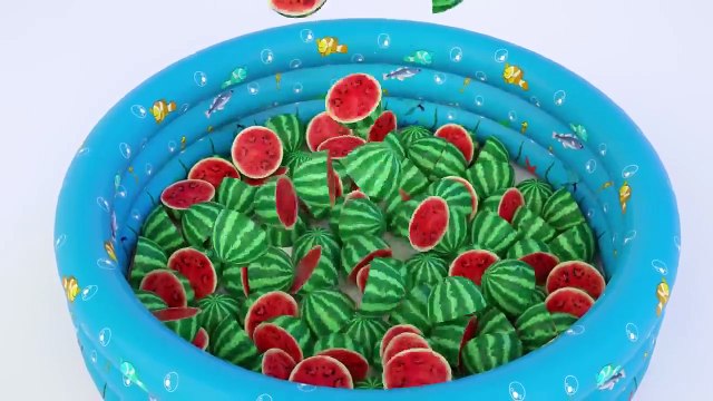 Lerne Farbe mit Pferdefinger Familie für Kinder | Pferd Tanz Reiten Kompilation | Pferd buntes Lied