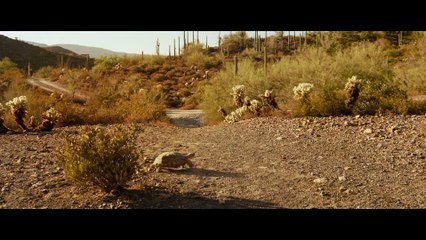 Lucky - Tráiler Español HD [1080p]