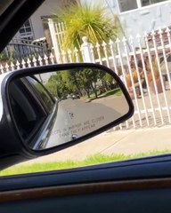 Following a Package Thief