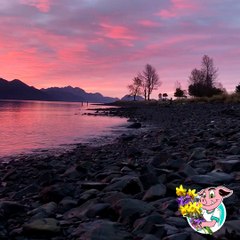 Celebrating Earth Day 2018