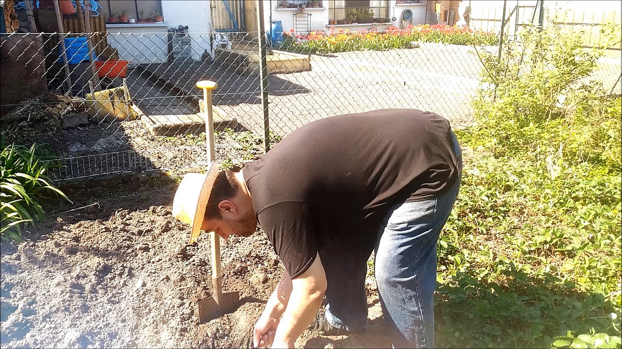 Asperges d'Alsace avec le Professeur Djack d' Alsace Brumath